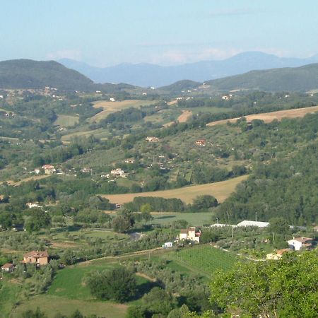 Agriturismo Poggio Della Rosa Amelia Ngoại thất bức ảnh